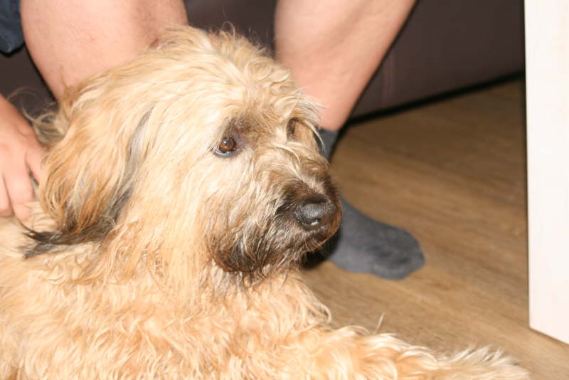Tiesto und Baika