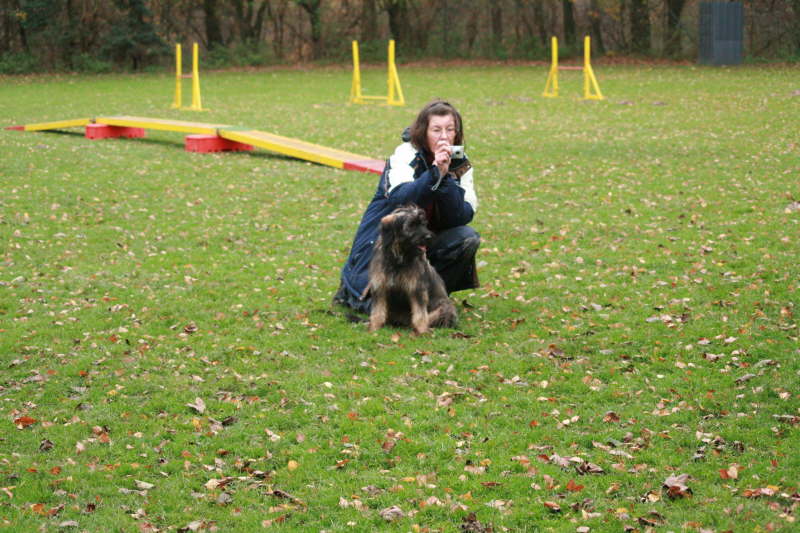 Spiel auf der Wiese