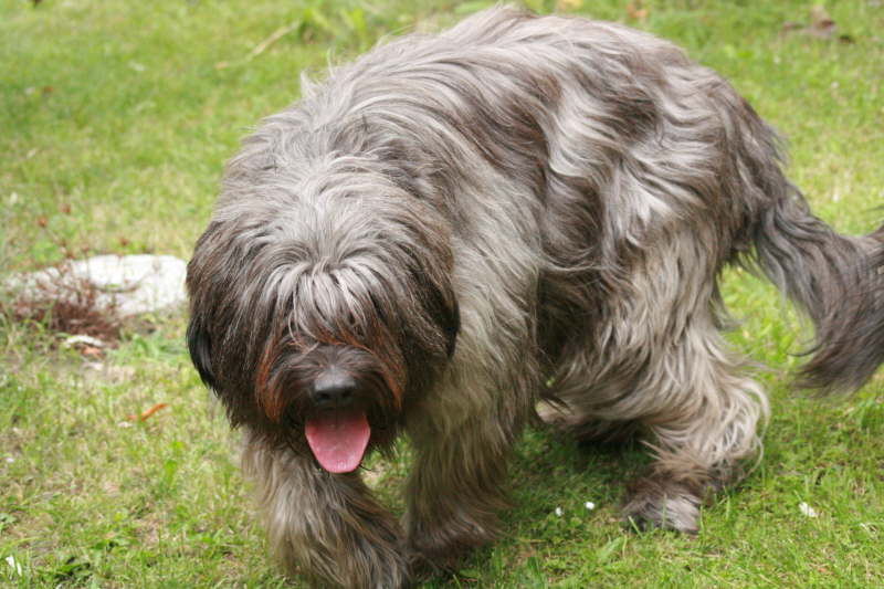 Biegos neues Zuhause