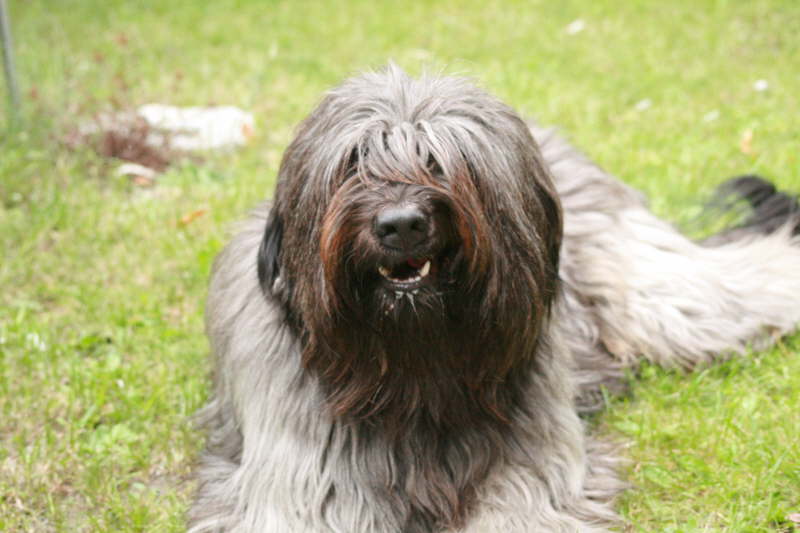 Biegos neues Zuhause