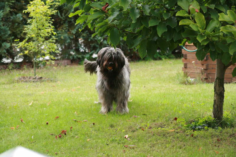 Biegos neues Zuhause