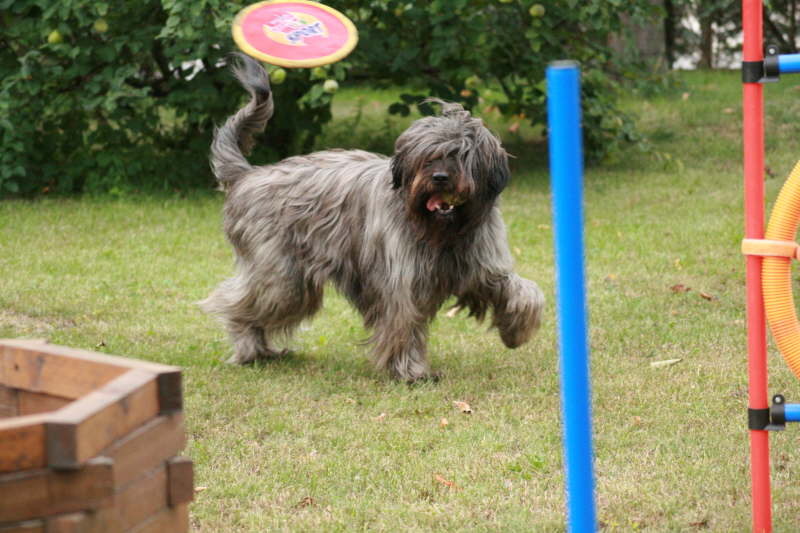 Biegos neues Zuhause