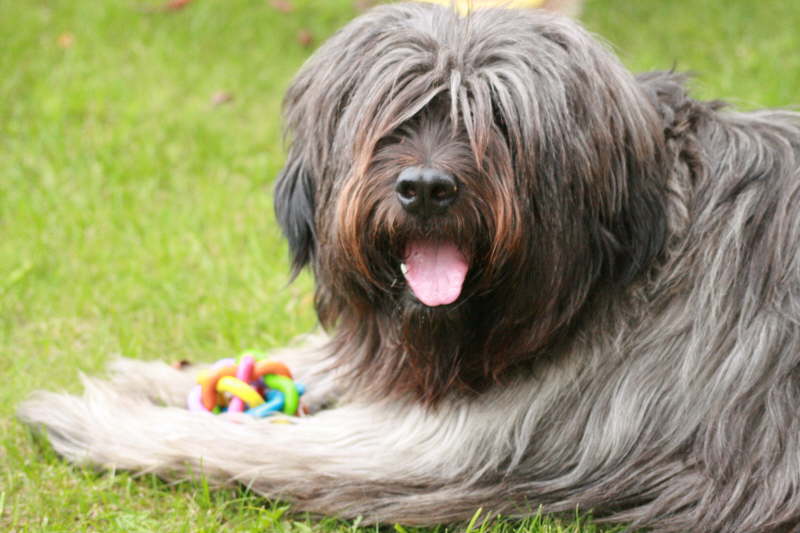 Biegos neues Zuhause