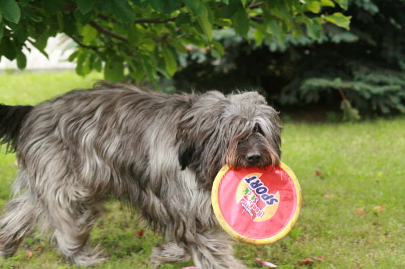 Biegos neues Zuhause