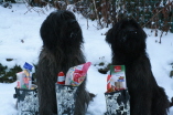Nikolaus