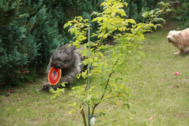 Biegos neues Zuhause