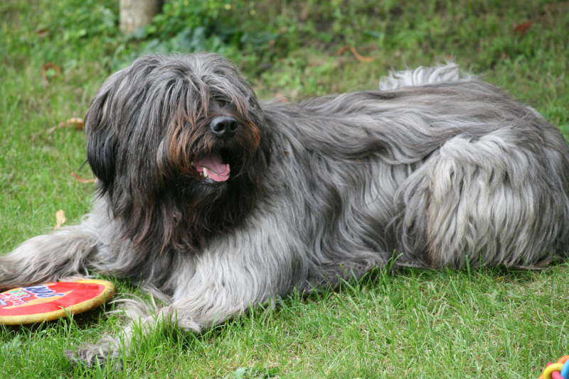 Biegos neues Zuhause