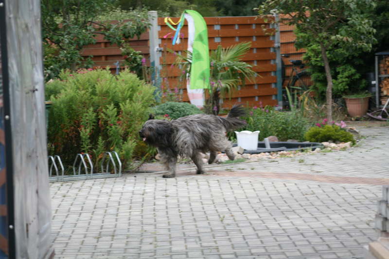 Biegos neues Zuhause