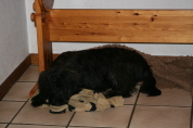 Besuch der Br�der