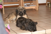 Besuch der Br�der