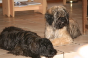 Besuch der Br�der