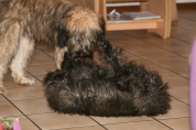 Besuch der Br�der