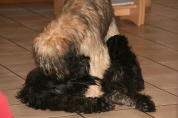 Besuch der Br�der