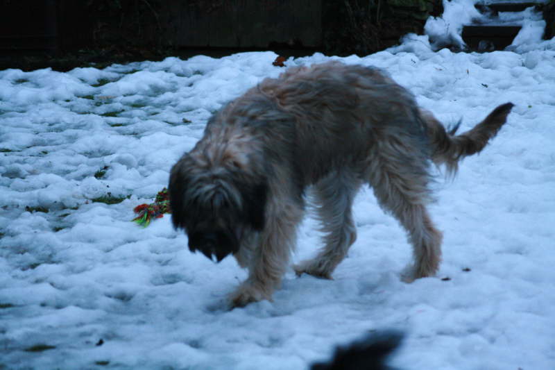 Besuch beim Heimatzwinger