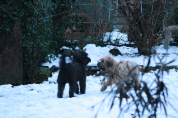 Besuch der Br�der