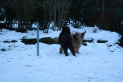 Besuch der Br�der