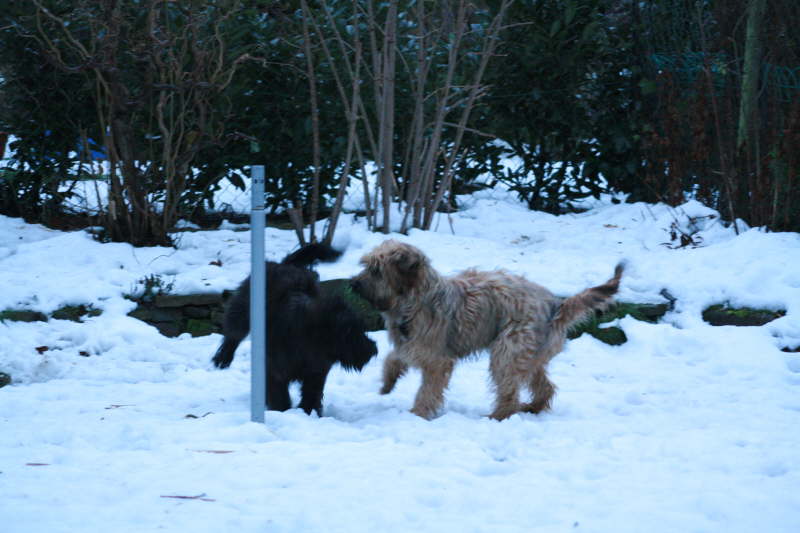 Besuch beim Heimatzwinger