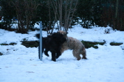 Besuch der Br�der