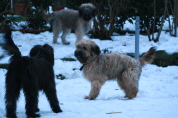 Besuch der Br�der