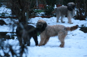 Besuch der Br�der