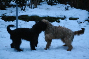Besuch der Br�der