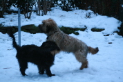 Besuch der Br�der
