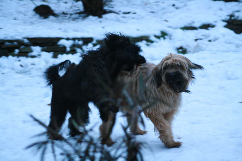 Besuch beim Heimatzwinger