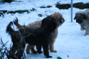 Besuch der Br�der