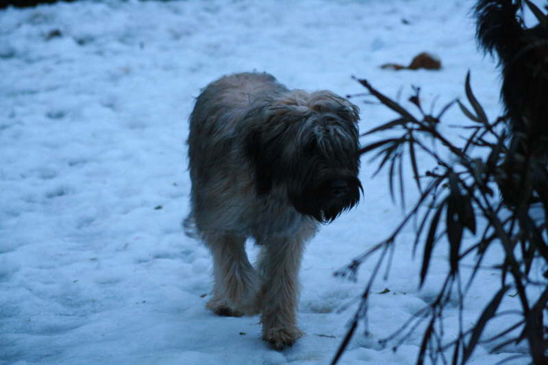 Besuch beim Heimatzwinger