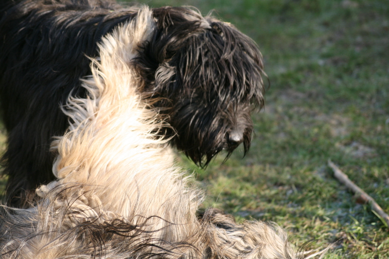 Versuch einer Fotosession