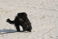 Spiel