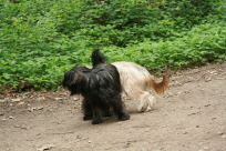 Besuch bei der Schwester