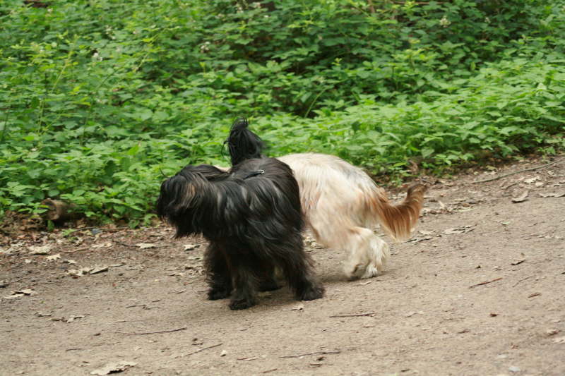 Besuch bei der Schwester