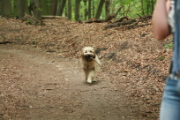 Besuch bei der Schwester