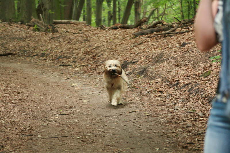 Besuch bei der Schwester