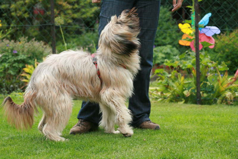 Besuch bei der Schwester