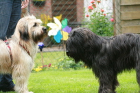 Besuch bei der Schwester