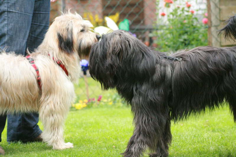 Besuch bei der Schwester