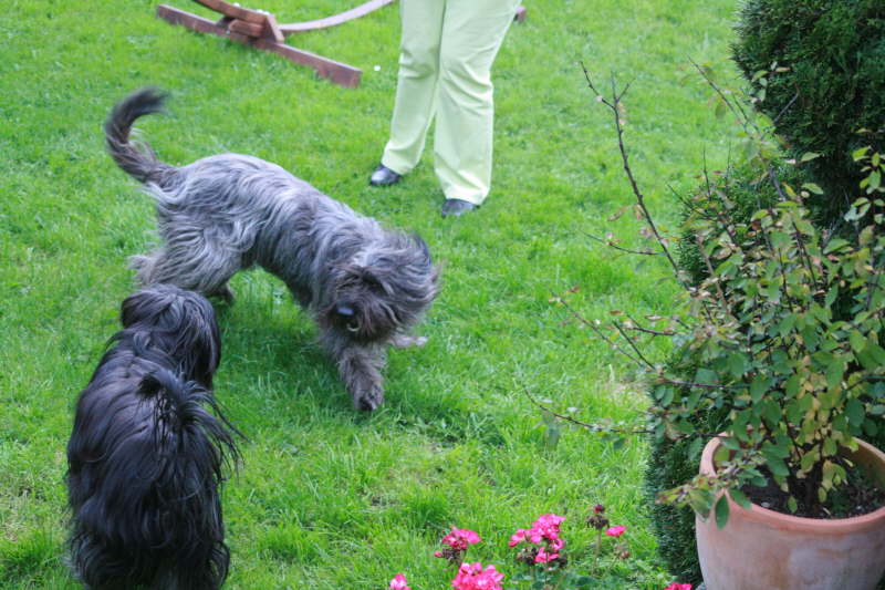 Besuch bei Branka