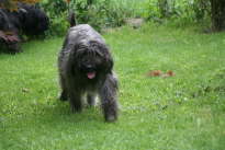 Besuch bei Branka