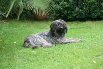 Besuch bei Branka