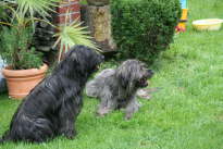 Besuch bei Branka