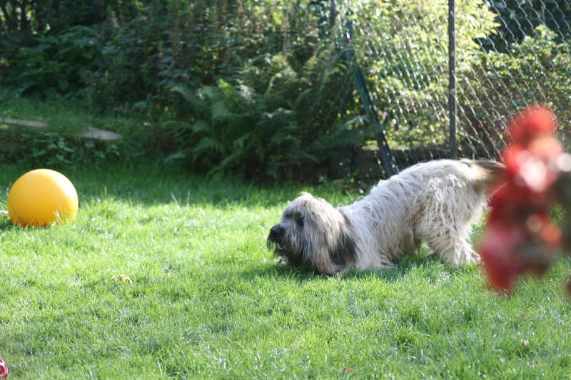 Bangos Herbst 2011
