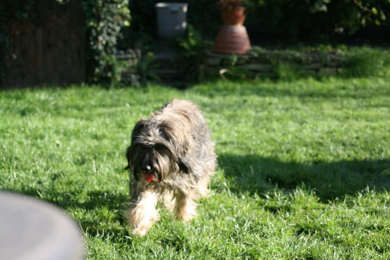 Josie Herbst 2011