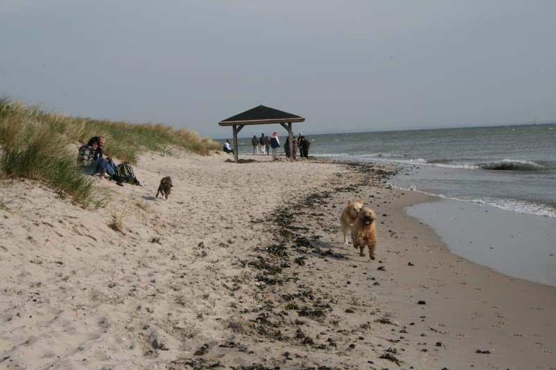 Frhjahr 2012