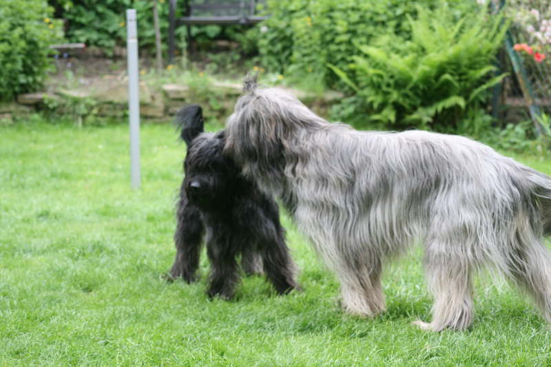 Frhjahr 2012