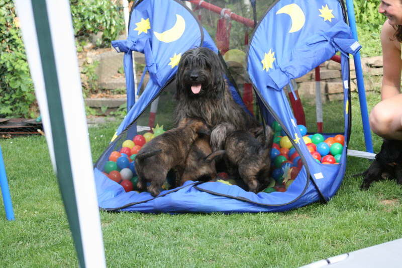 Bengas Spiel mit ihren Kindern