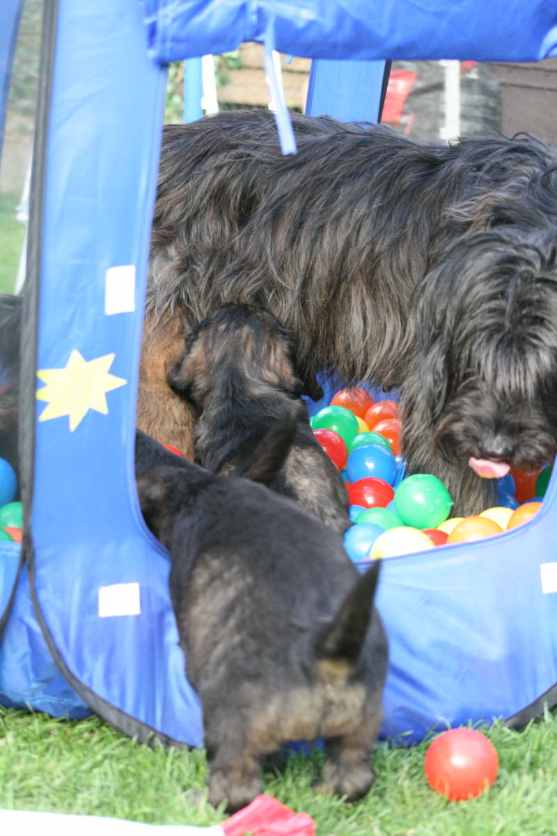 Bengas Spiel mit ihren Kindern