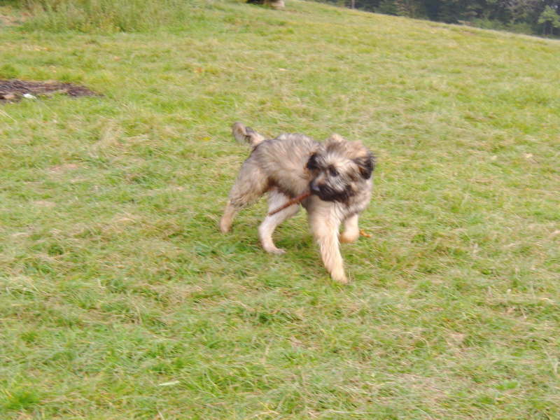 Bangos erster Urlaub