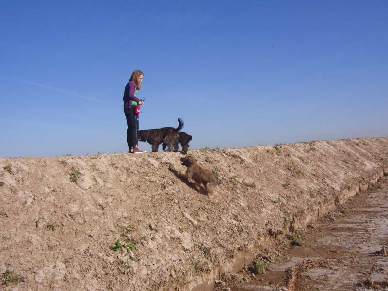 El Fuego del Viento Besuch